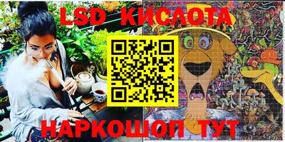 шишки Можга