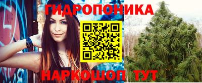 крисы Бузулук